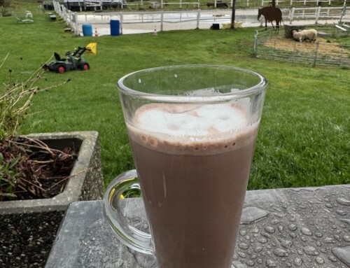 A Hot Chocolate at Reinstall und Saloon San Jon, Scuol, Switzerland