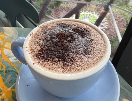 A Hot Chocolate at Janice Wong, Singapore