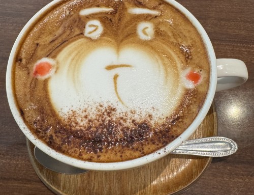 A Hot Chocolate at Café Switch, Kumamoto, Kyushu, Japan